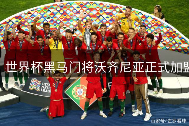 世界杯黑马门将沃齐尼亚正式加盟智利豪门科洛科洛