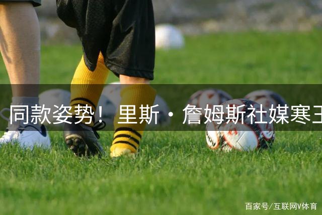同款姿势！里斯·詹姆斯社媒寒王帕尔默庆祝动作💙